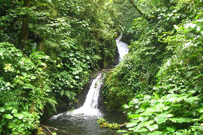 Monteverde_225-150